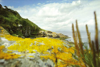 County Down's amazing coastal beauty